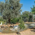 Villa Rota De Morell
